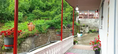 ویلا دوخوابه جنگلی حسنی