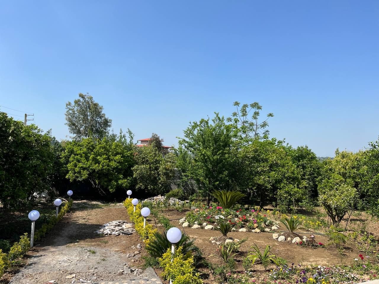 لیلی‌پا - واحد لیلی‌پا