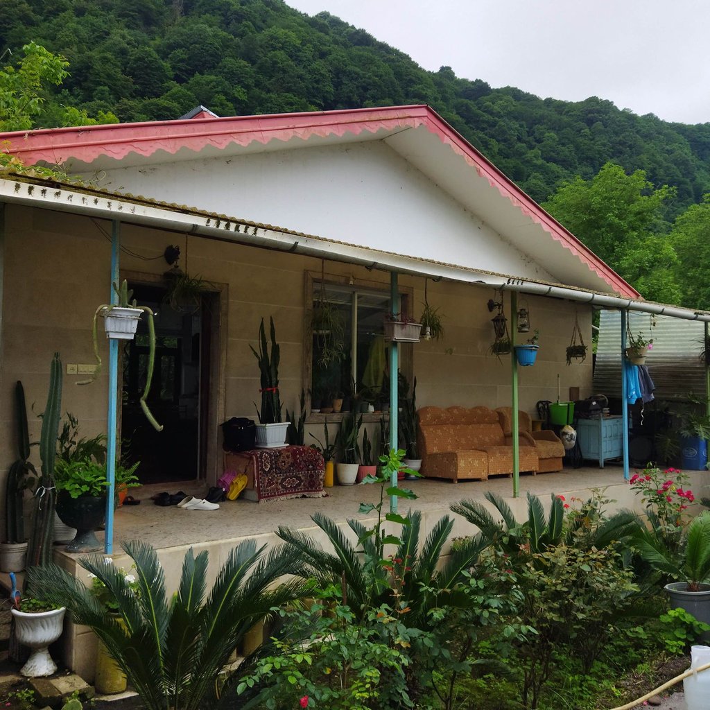 فلت دامانگلی