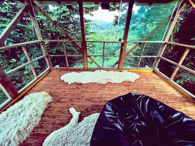 کلبه فلت جنگلی چناررودخان