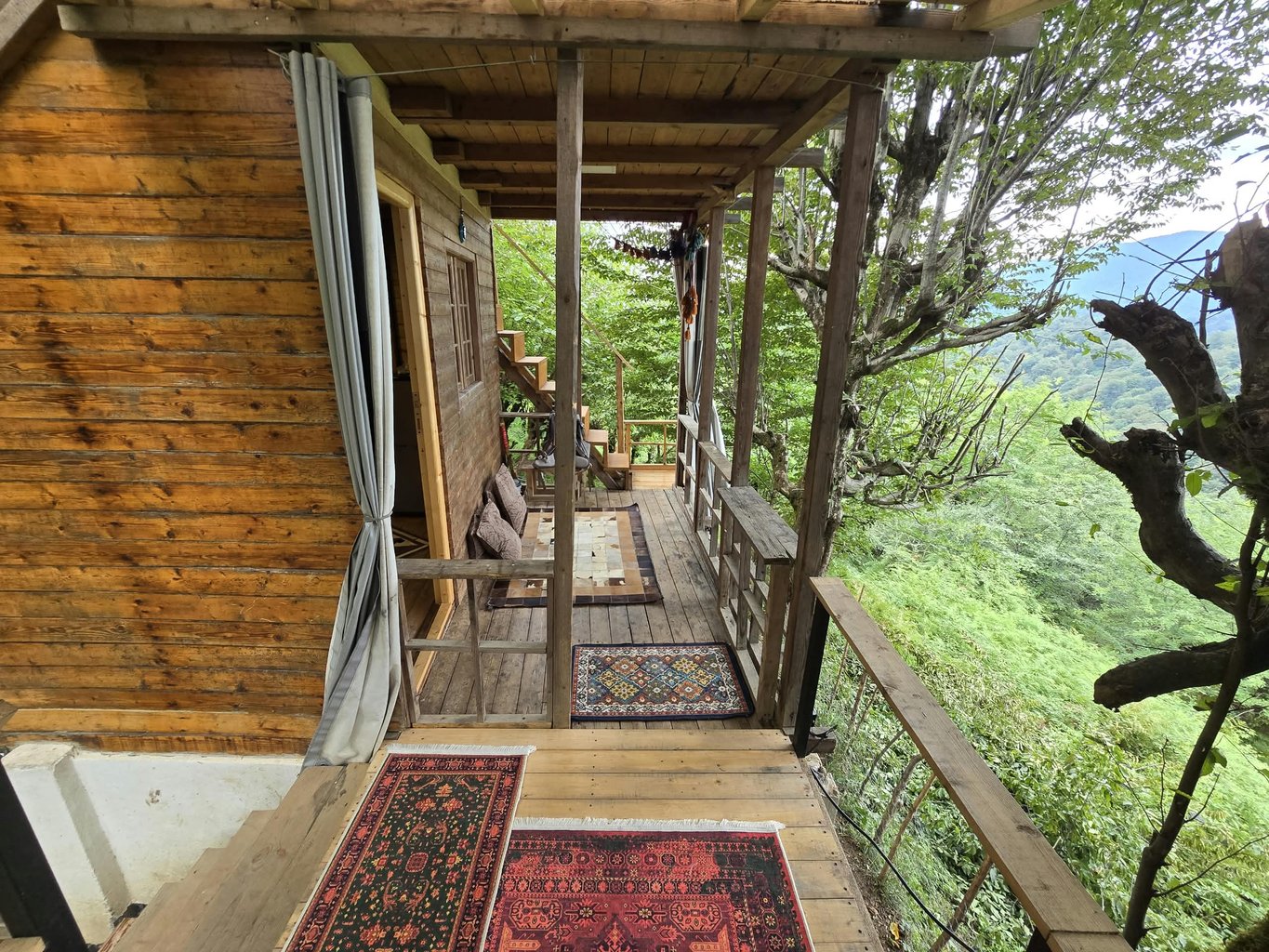 کلبه فلت جنگلی چناررودخان
