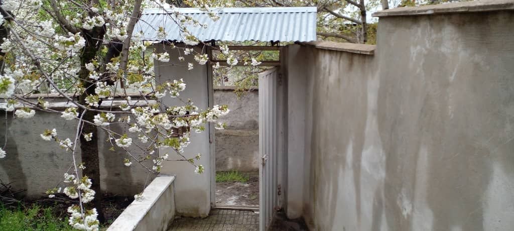 فلت قربان زاده