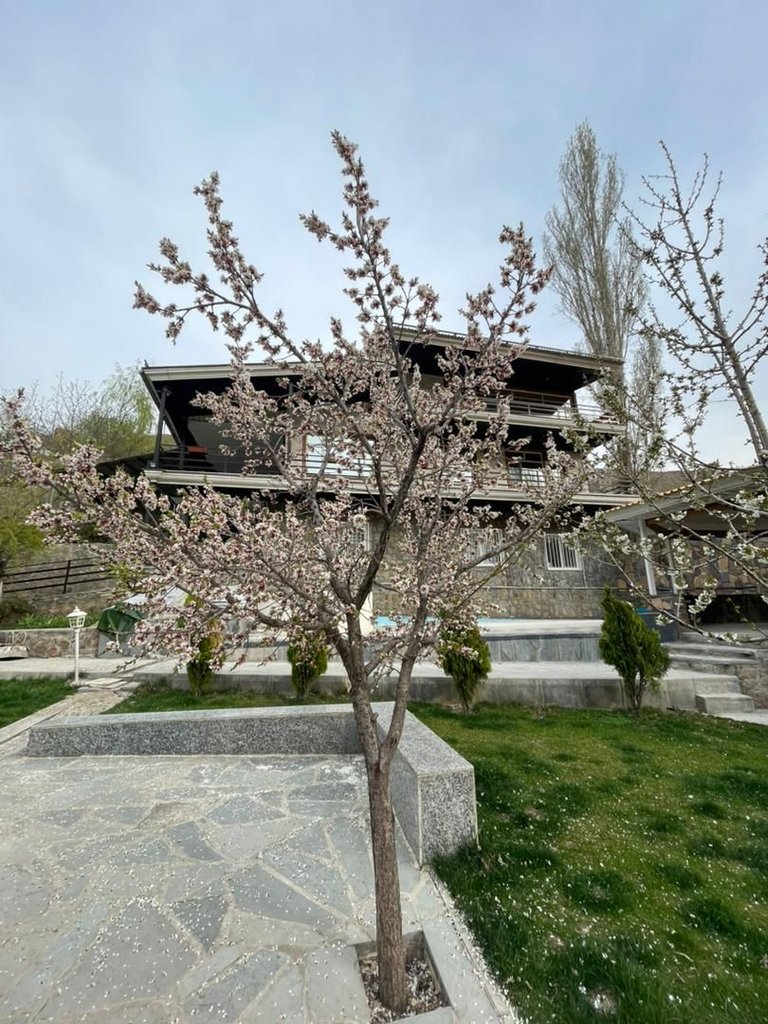 پنج خوابه کوهستانی لالان