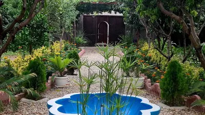 ویلا یک خوابه سینوا