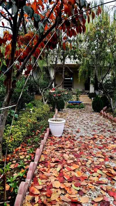 ویلا یک خوابه سینوا