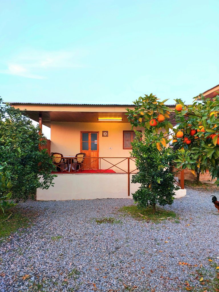 بومگردی کلبه‌های کیمه - کلبه فلت ۲