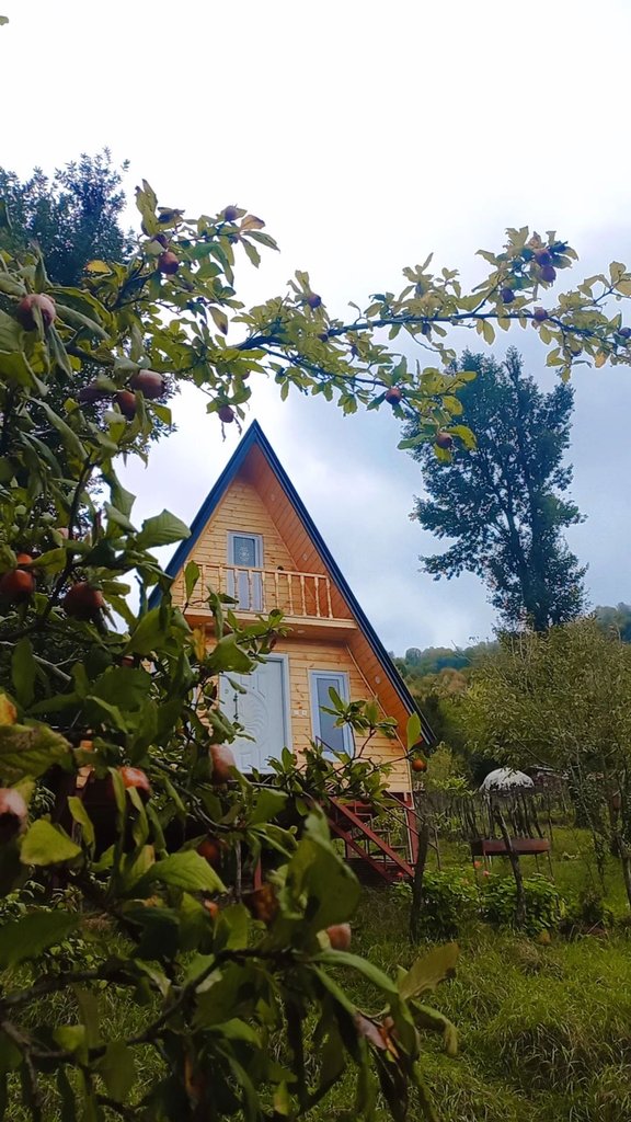 کلبه کلبه سوئیسی  آیهان