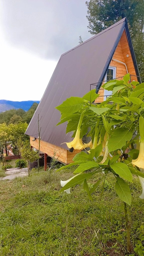 کلبه کلبه سوئیسی  آیهان