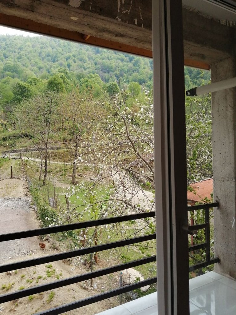 سوئیت دوخوابه جنگلی کامران