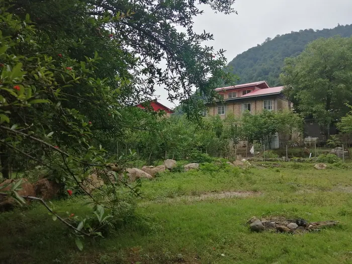 ویلا فلت جنگلی کامران - حیاط پشتی و نمای ساختمان