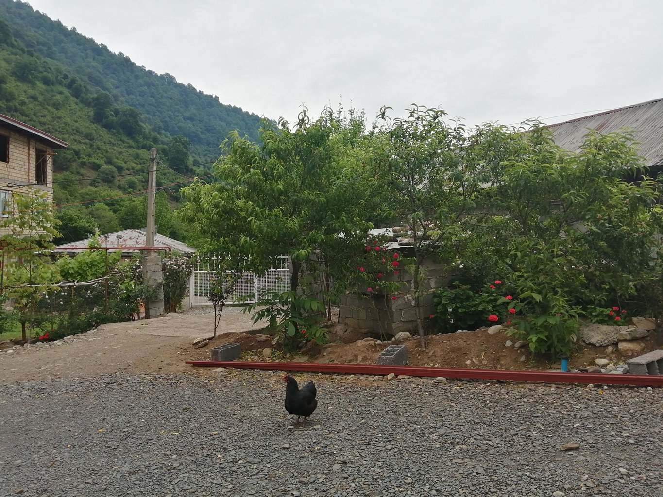 دوخوابه جنگلی کامران