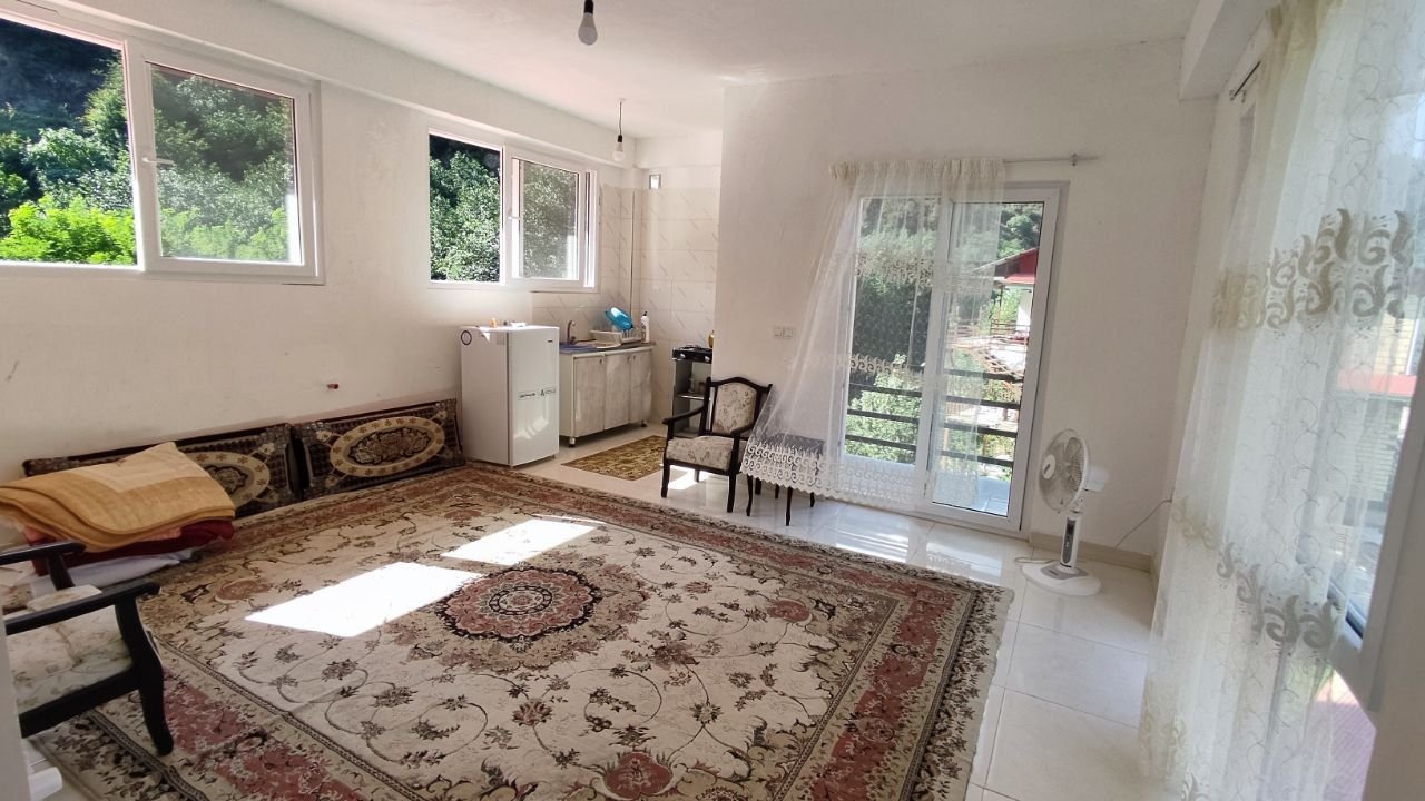 فلت جنگلی کامران