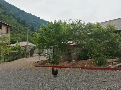 ویلا فلت جنگلی کامران