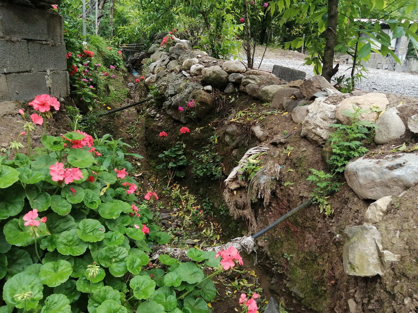 سوئیت دوخوابه جنگلی کامران