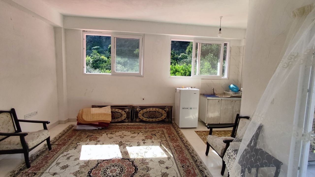 فلت جنگلی کامران