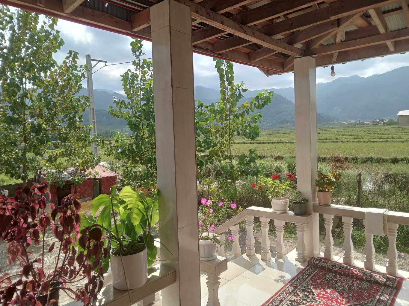 ویلا یک خوابه تنیانی
