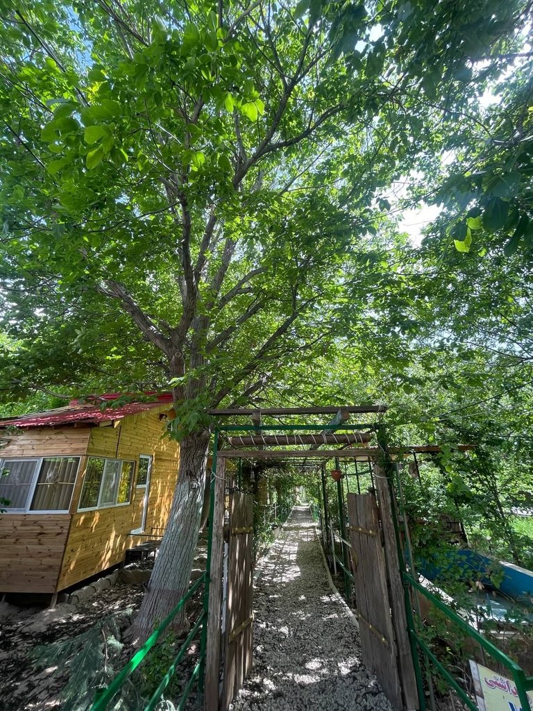 فلت سبودر واحد نسترن