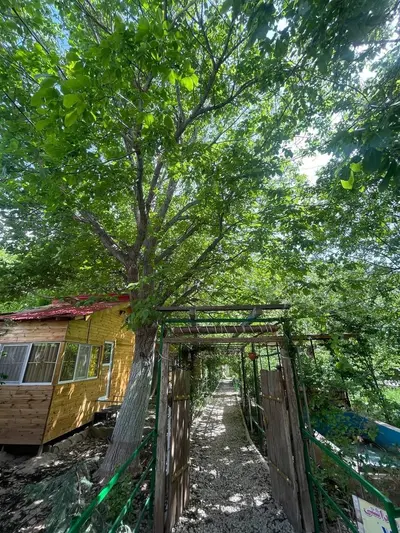 سوئیت فلت سبودر واحد نسترن