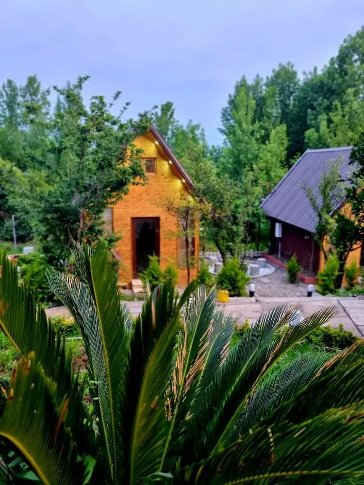 کلبه یک خوابه چوبی توسکا 2