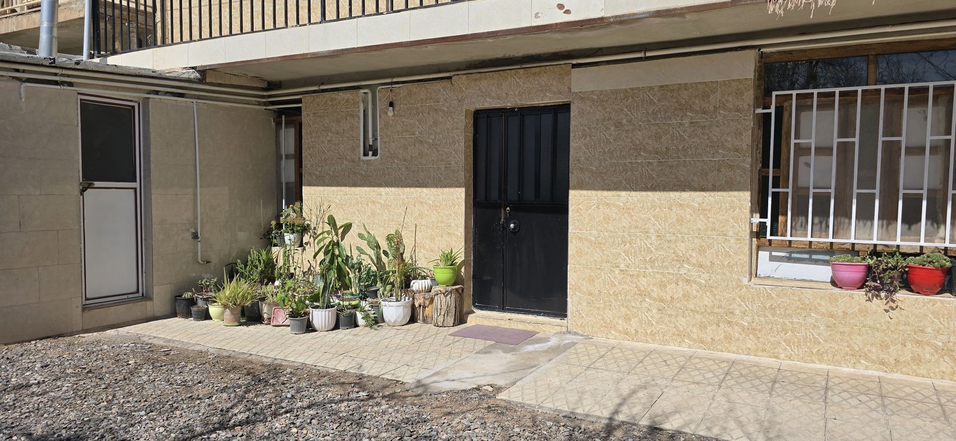 یک خوابه رز طلایی