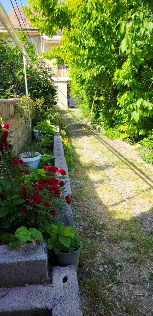 فلت اتاقک یاس