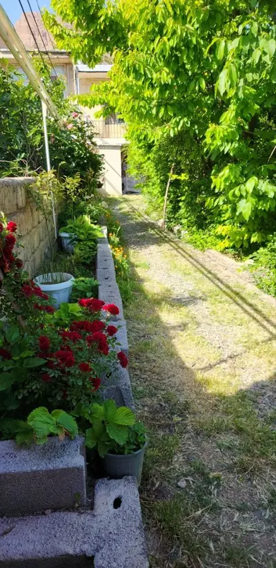 سوئیت فلت اتاقک یاس