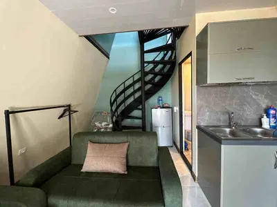 کلبه فلت سوئیسی کاژه