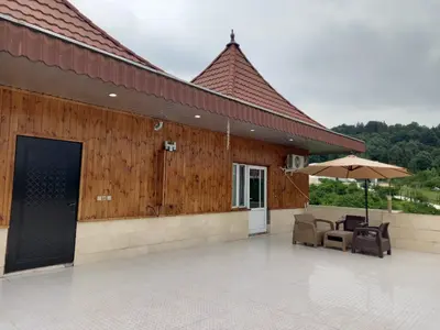 سوئیت فلت جنگلی مرآتی