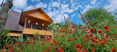 کلبه یک خوابه سوئیسی آرامش 8