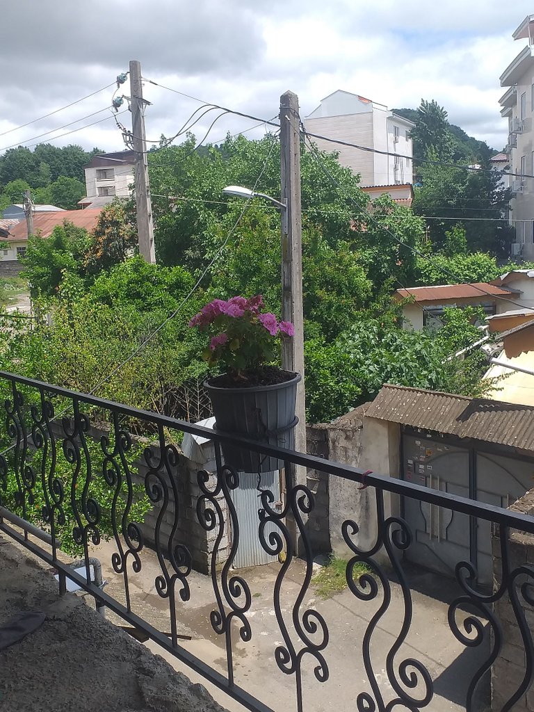 سه خوابه بردیا