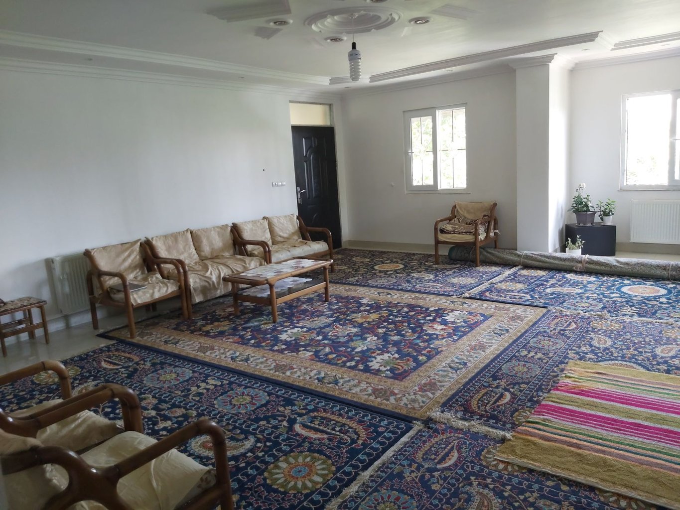 یک خوابه جنگلی نوریزاد