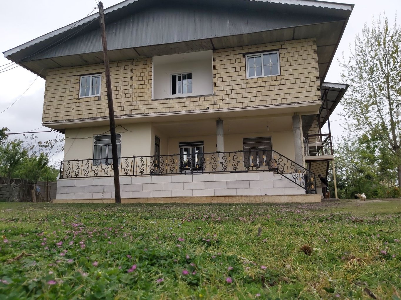 یک خوابه جنگلی نوریزاد