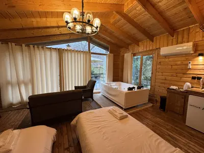 کلبه یک خوابه جکوزی دار آرتینا 3