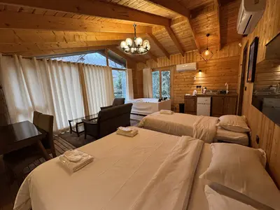 کلبه یک خوابه جکوزی دار آرتینا 3