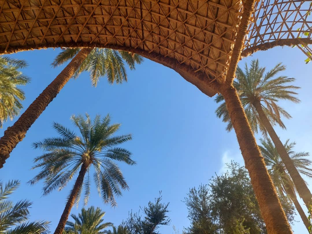 کلوت حرفه ای شهداد - واحد 8