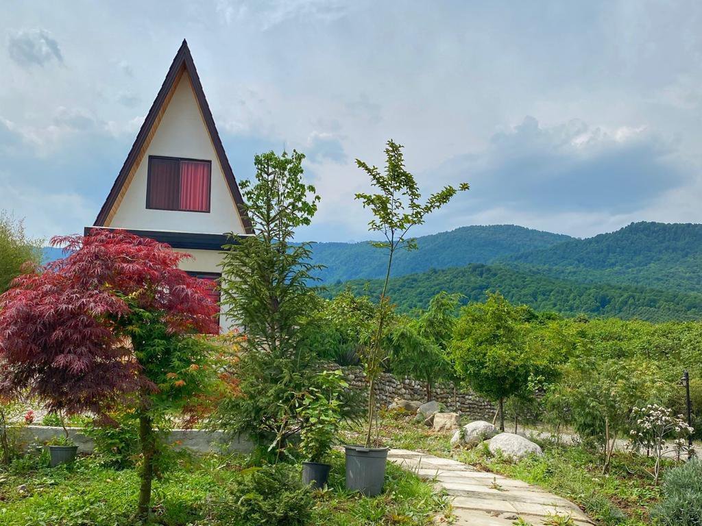 کلبه یک خوابه کینگ 2