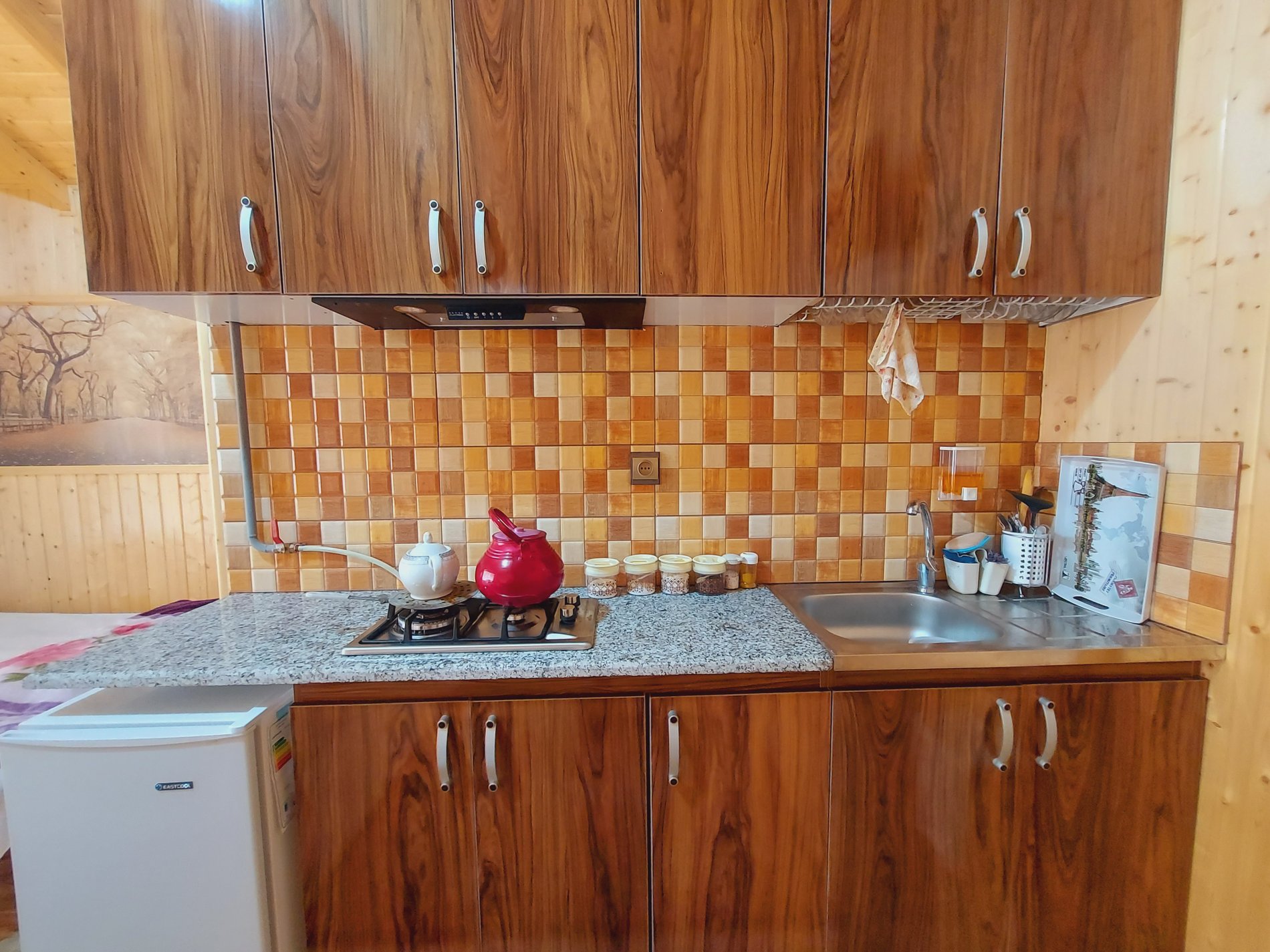 فلت باغ ملک 8