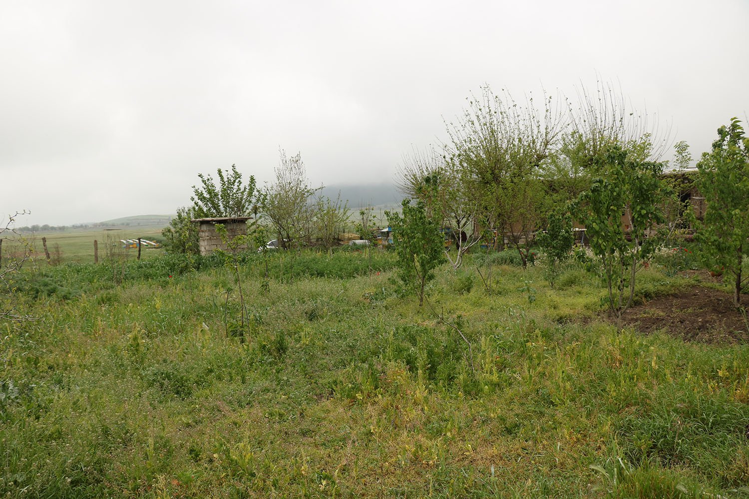 آرتق آق قمیش - واحد 3