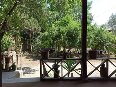 بومگردی چشمه سعدی - واحد 4