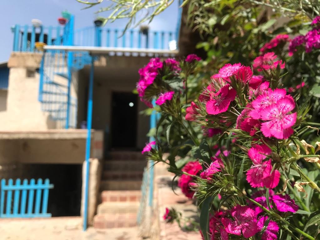 بوم گردی بام ساسنگ مینودشت - واحد بهار خواب یک - نمای بیرون