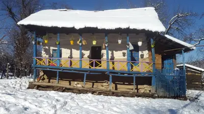 بومگردی فلت ویشه