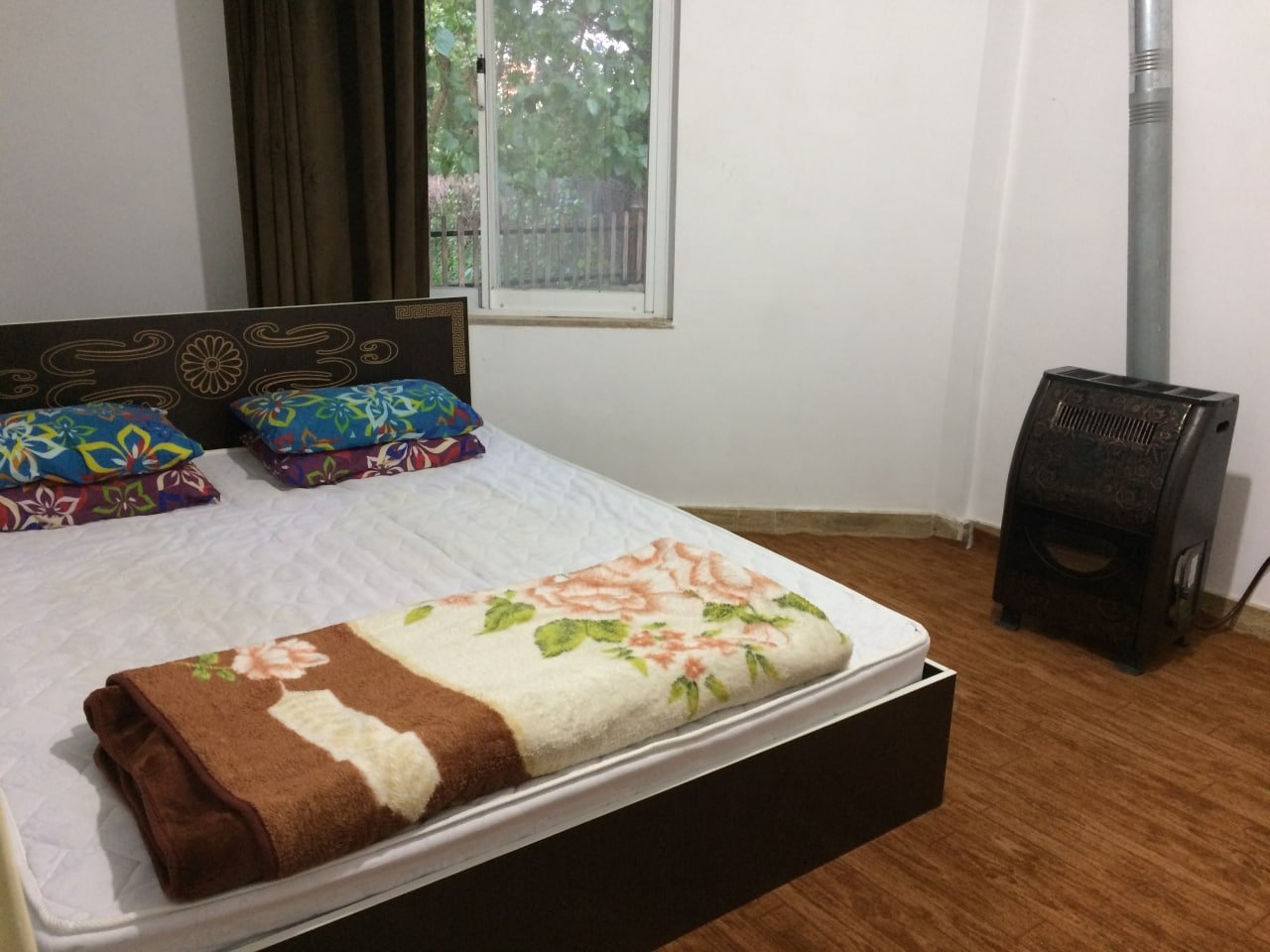 طلوع گیسوم - واحد شمشاد