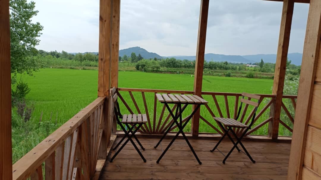 تی شین - واحد ویژه 1