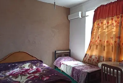 بومگردی نبکا - واحد خرما