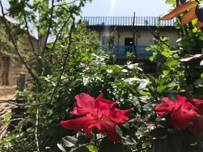 بومگردی بام ساسنگ مینودشت - واحد بهار خواب دو