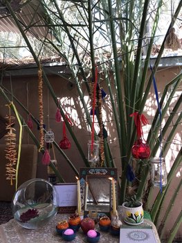 بوم گردی ترنج - واحد یاس