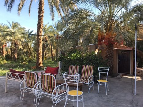 بوم گردی ترنج - واحد یاس