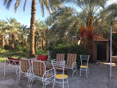 بومگردی ترنج - واحد نخل