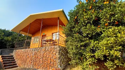 کلبه یک خوابه باغ ملک ۱