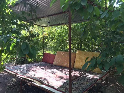 بومگردی محلی قلعه - پنج تخته